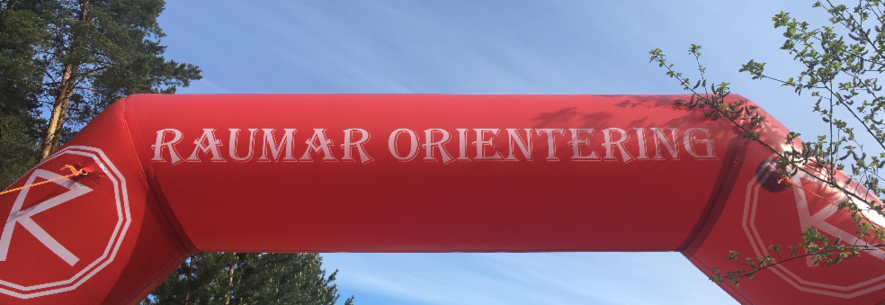 Årsmøte
